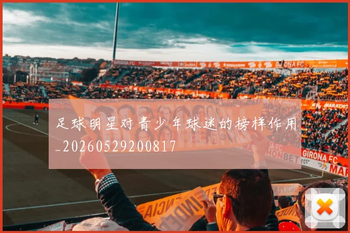 足球明星对青少年球迷的榜样作用_20260529200817